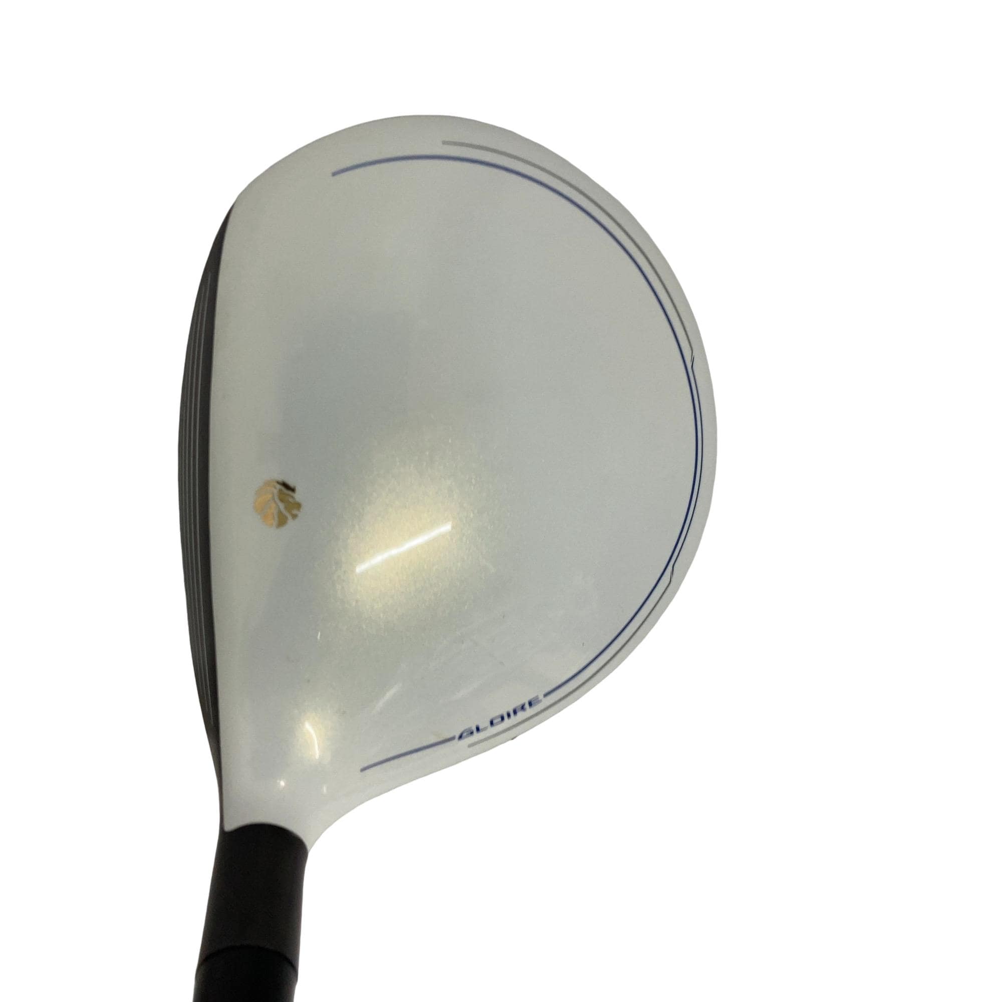 �f�k�n�h�q�d�@�e�i�Q�O�P�U�j�@�T�v