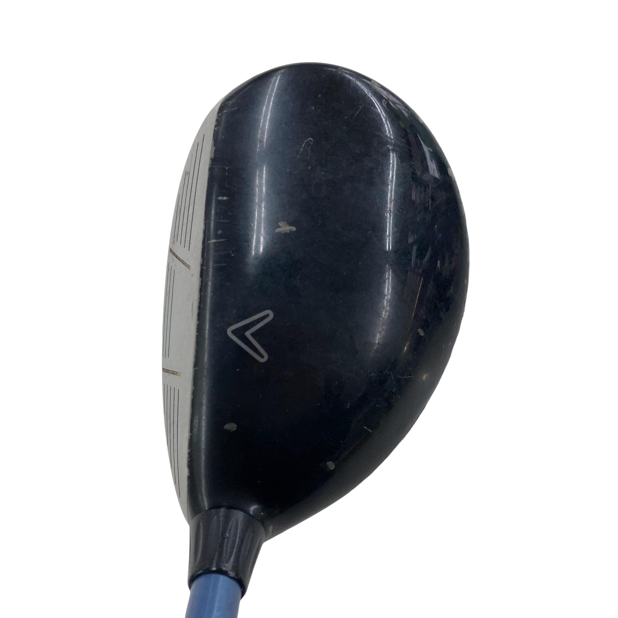 �w�@���[�e�B���e�B�@�S�g�i�Q�S°�j�@���f�B�[�X