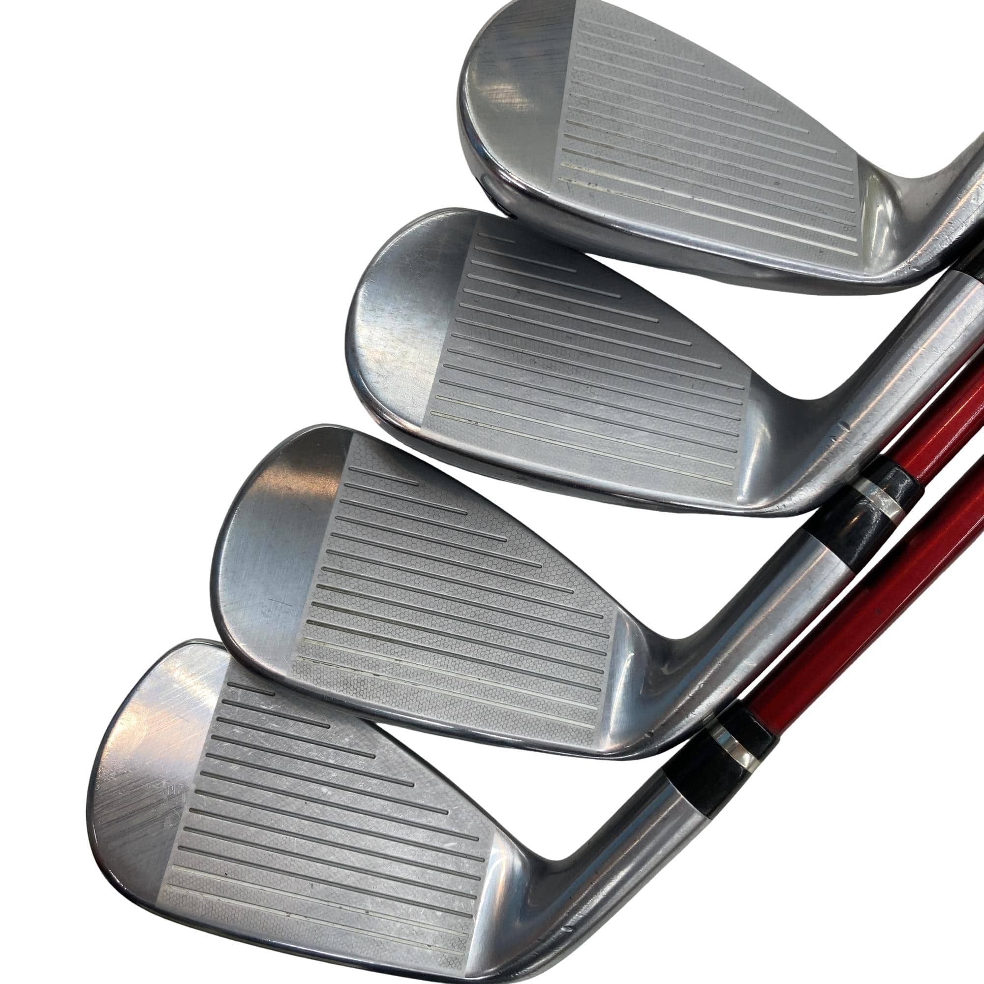 �������������@�q�l�w�@�t�c�{�Q�@�S�r�i���{���F�S�{�Z�b�g�j