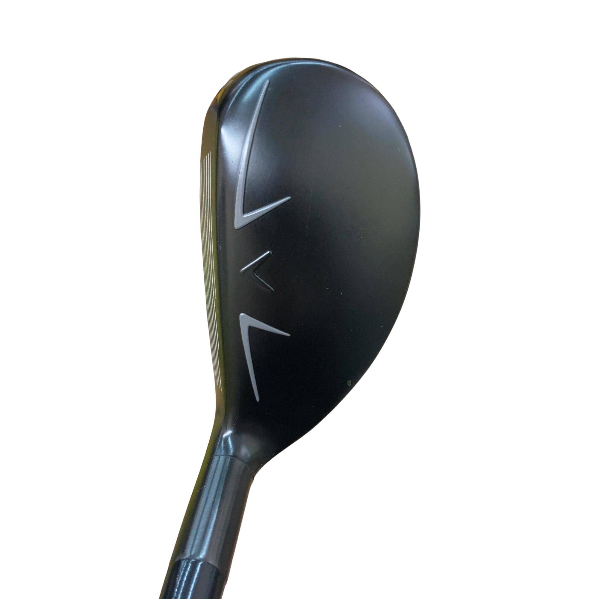 �w�q�@�t�T�@���f�B�[�X