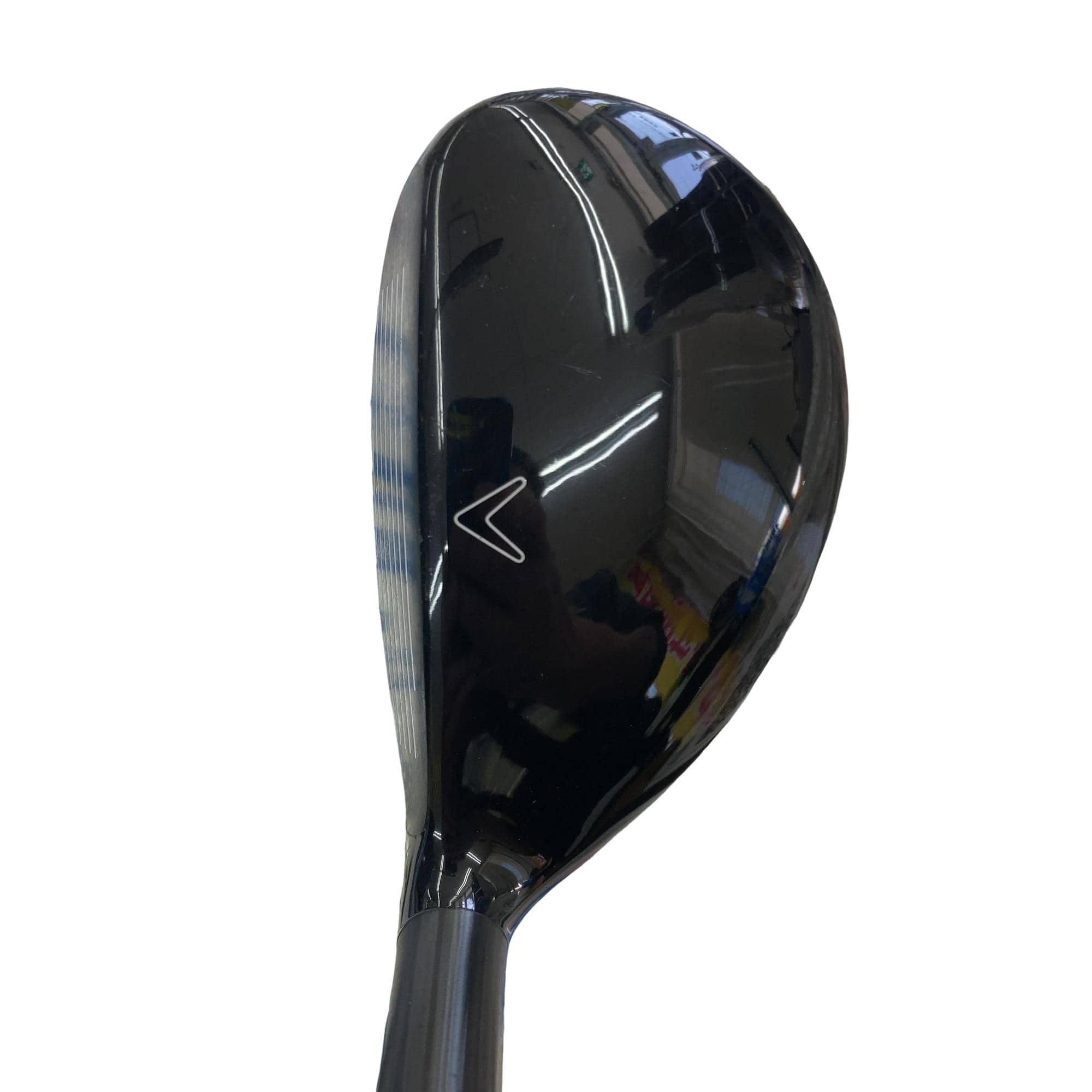 �w�Q�@�g�n�s�@�t�R