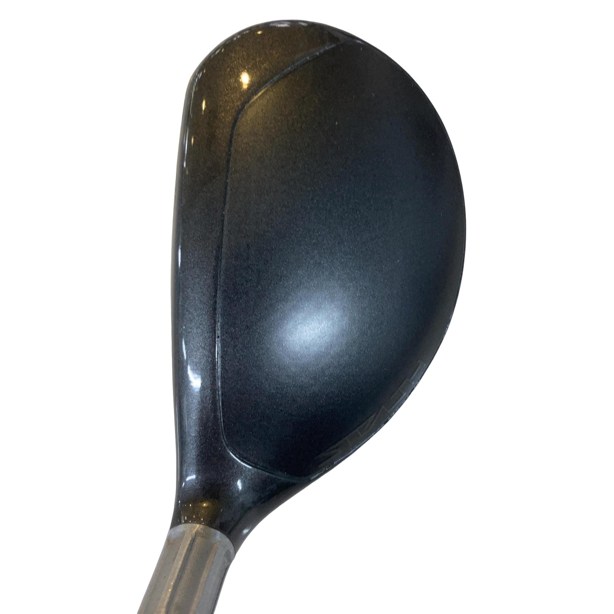 �r�s�d�`�k�s�g�@�t�S�@���f�B�[�X