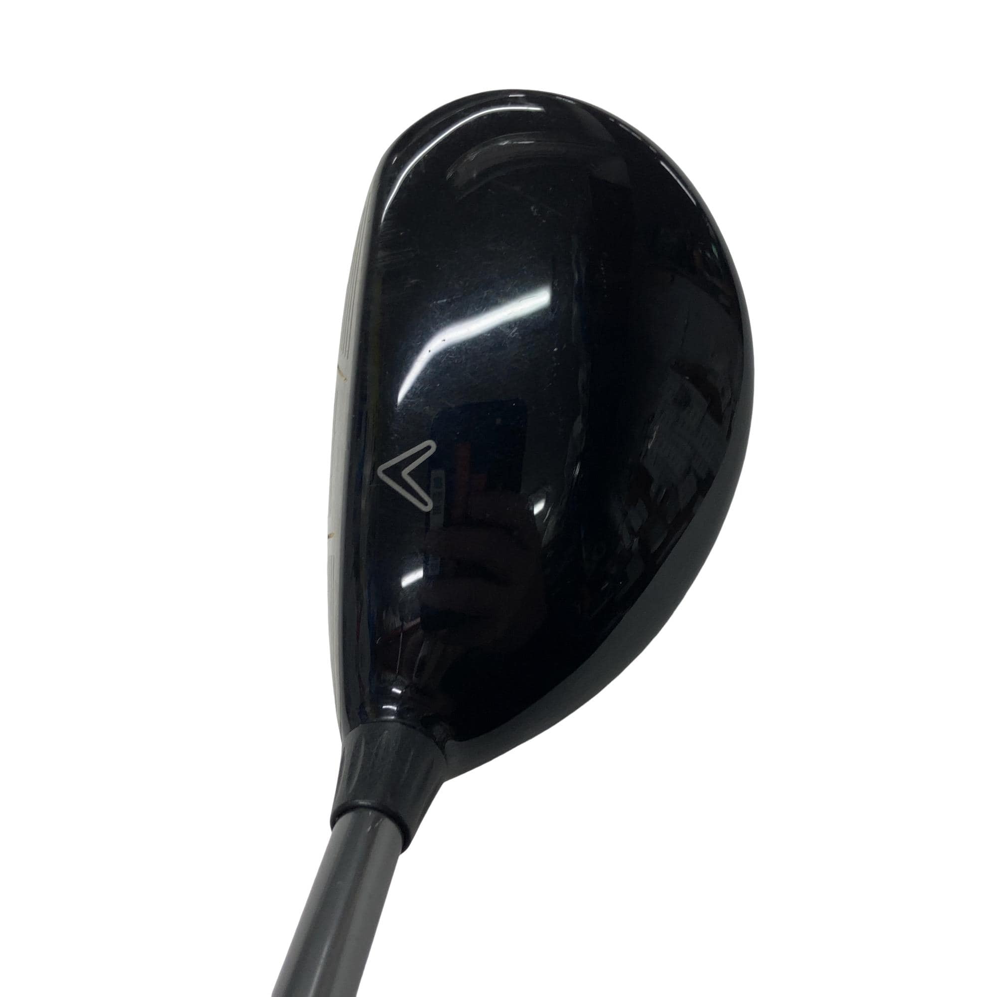 �w�@���[�e�B���e�B�@�R�g�i�Q�P°�j