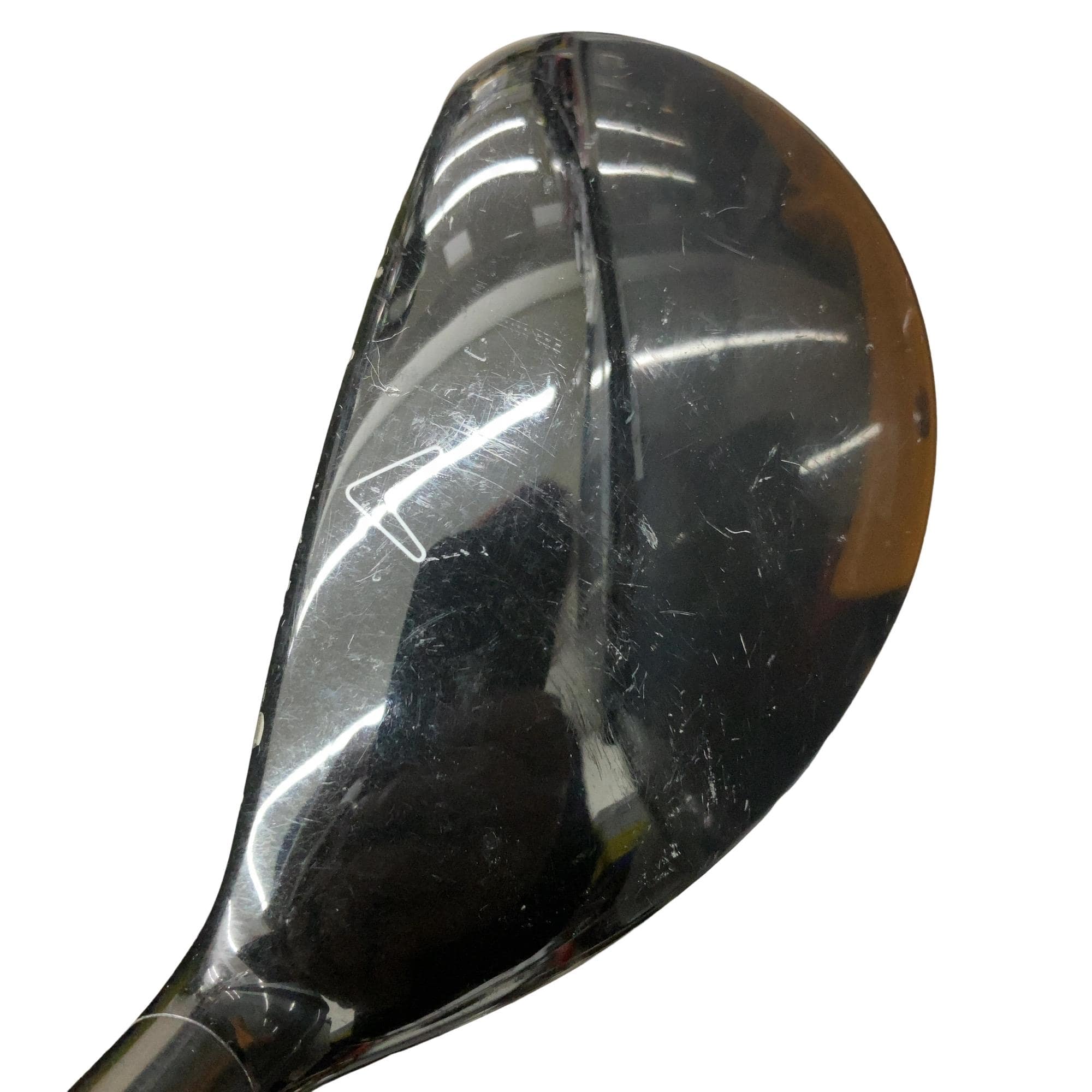 �w�Q�@�g�n�s�@�t�S