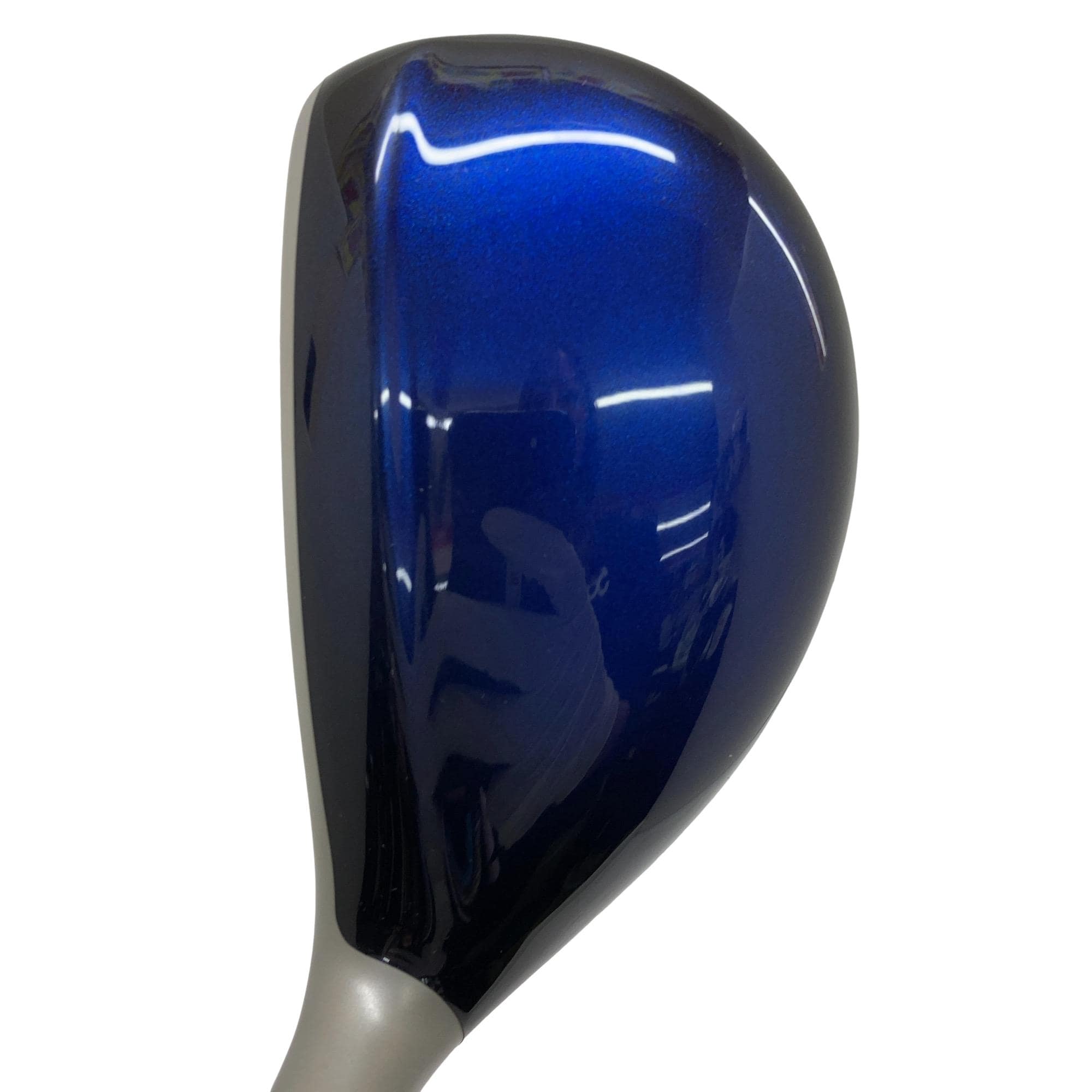 �w�w�h�n�i�Q�O�P�W�j�@�g�T