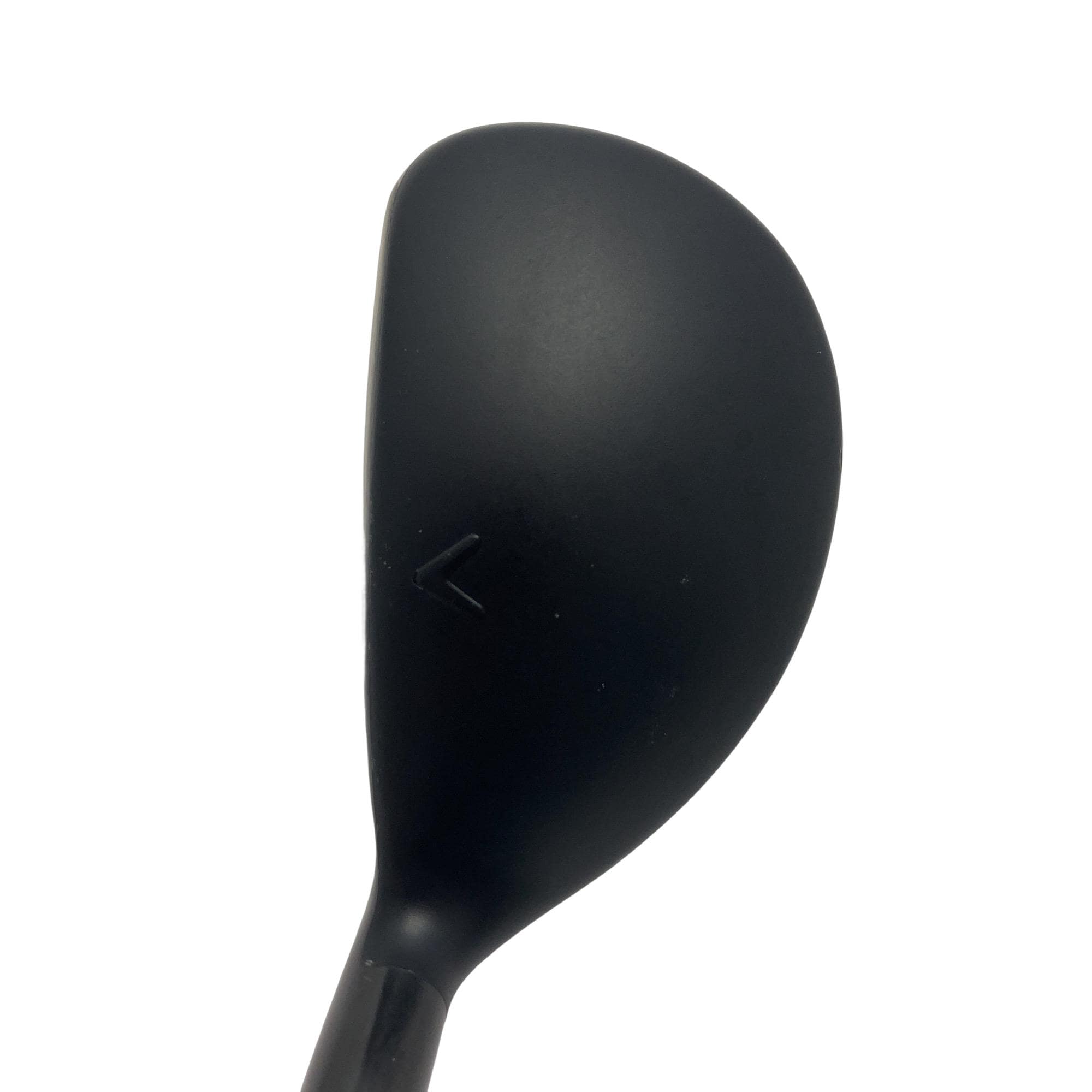 �w�q�@�P�U�@�n�r�@�t�R