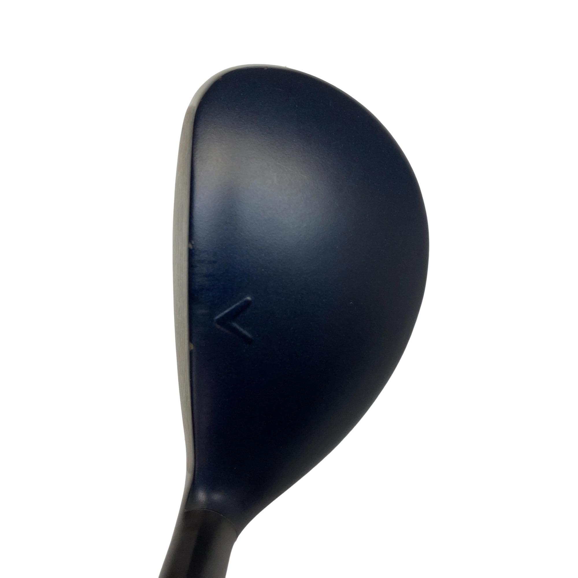 �w�q�@�t�T