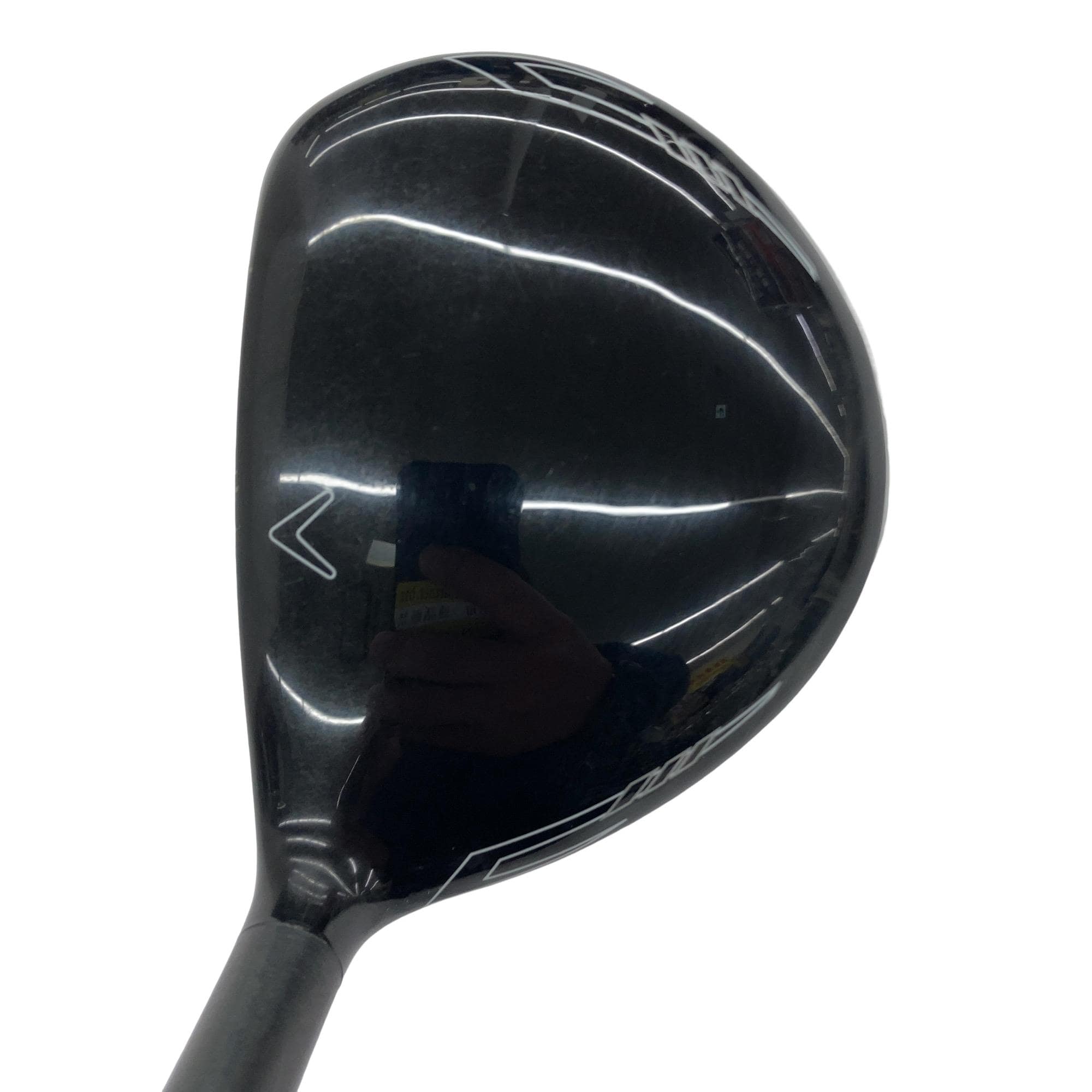 �w�Q�@�g�n�s�@�@�T�v