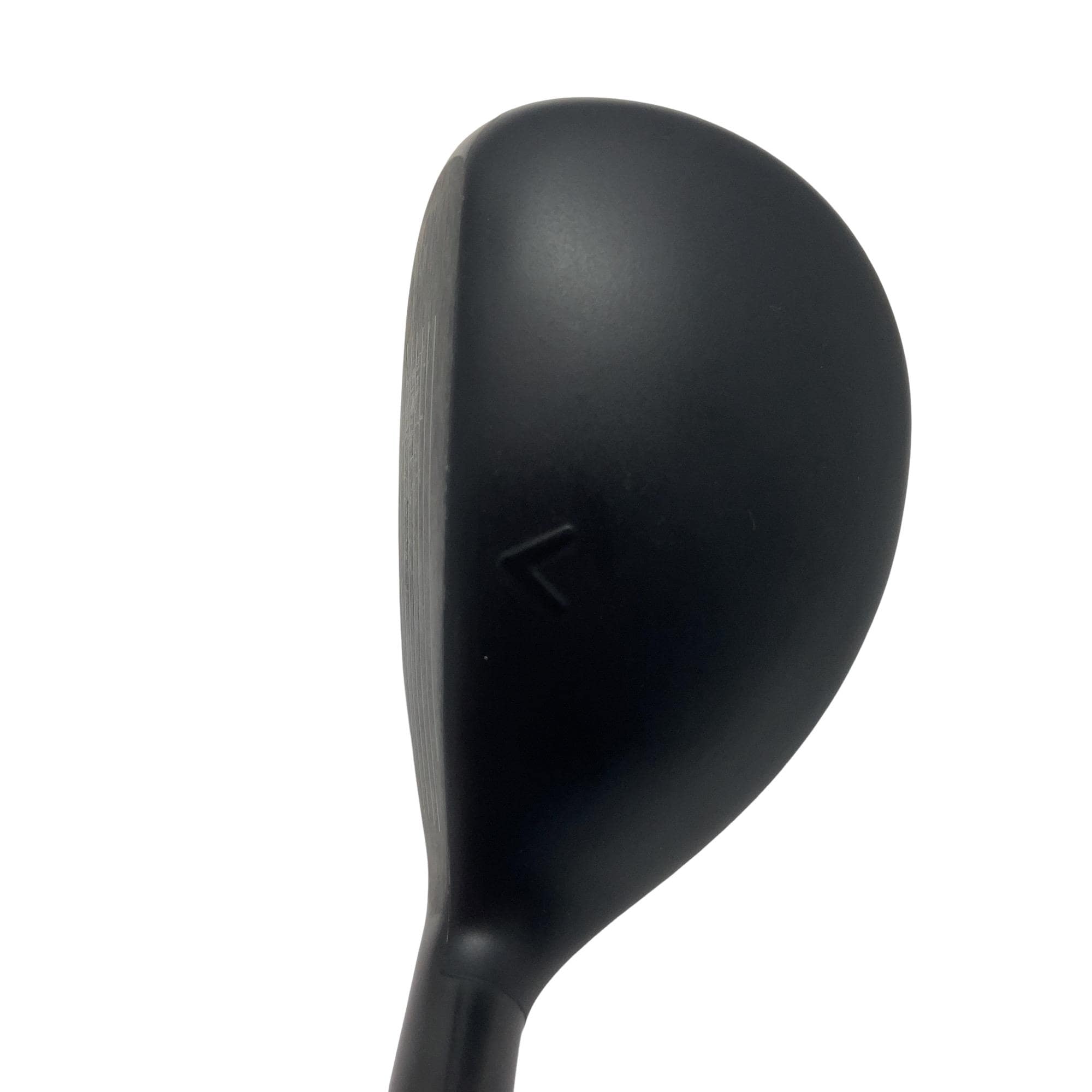 �w�q�@�P�U�@�n�r�@�t�S