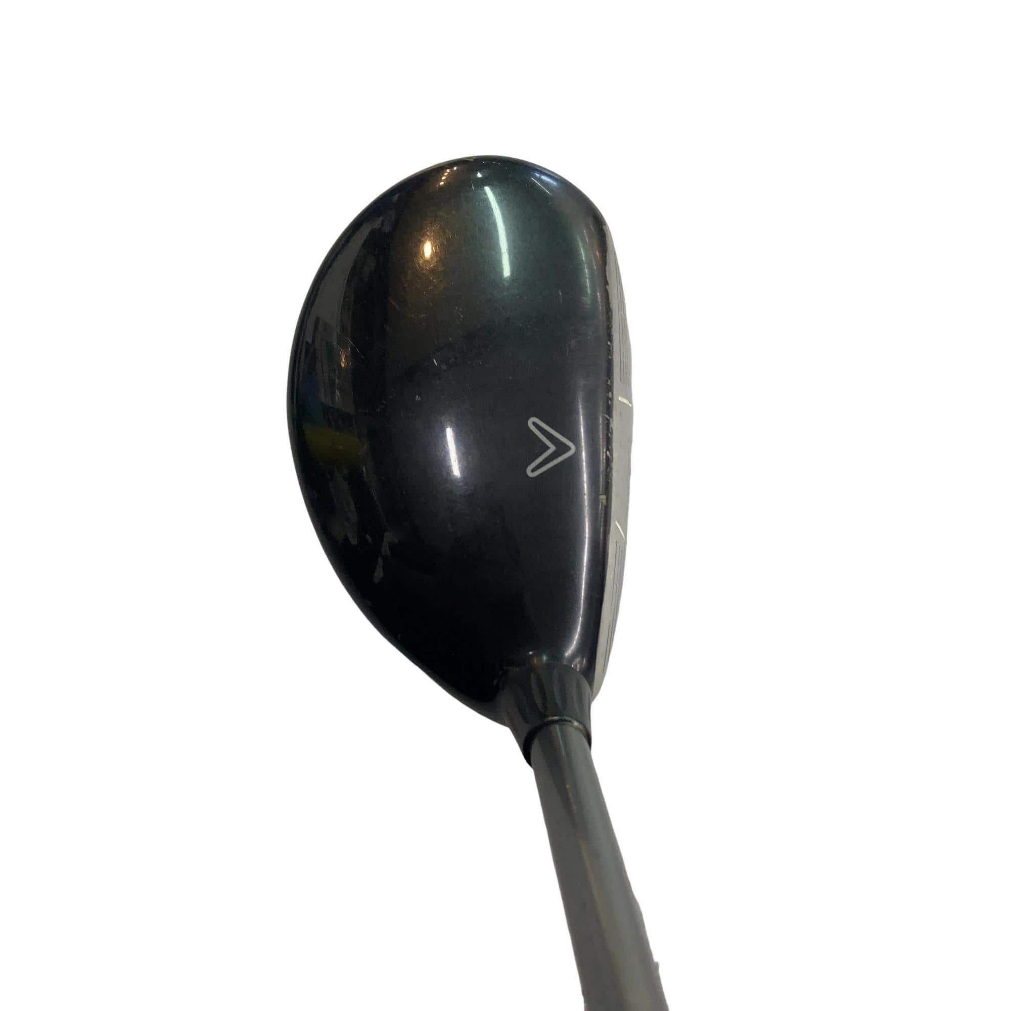 �w�@���[�e�B���e�B�@�R�g�i�Q�P°�j�@���t�e�B