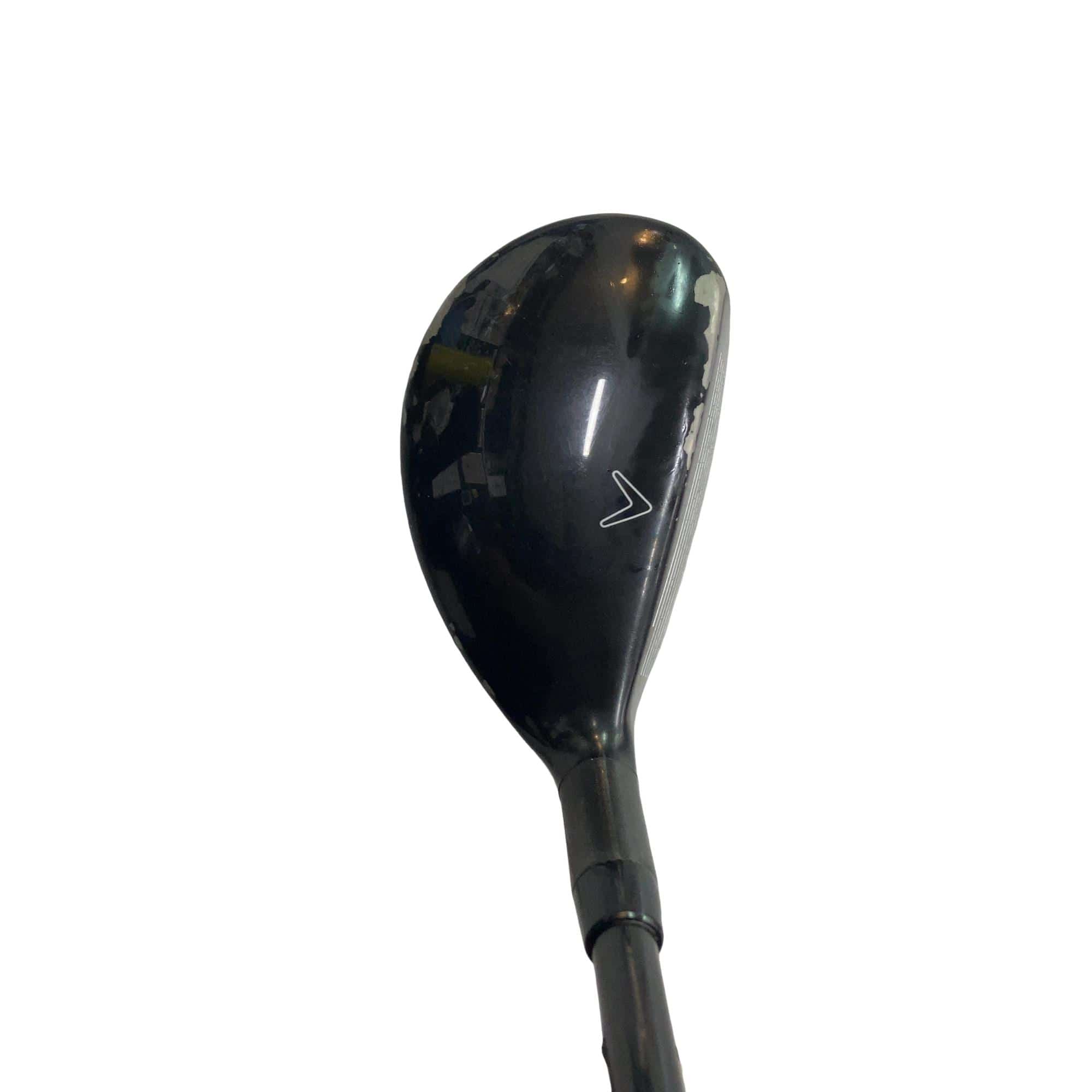 �w�Q�@�g�n�s�@�t�T�@���t�e�B