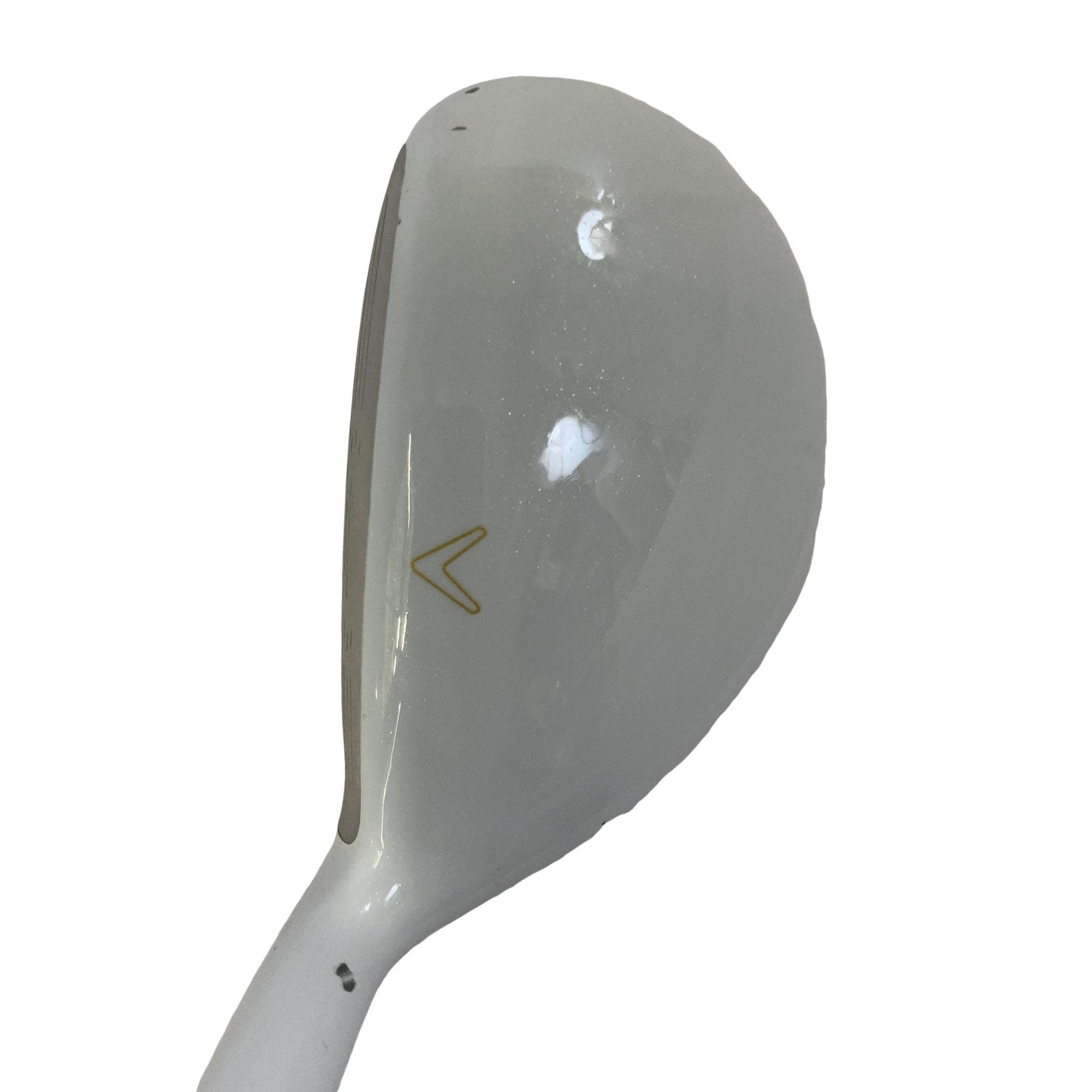 �����������i�Q�O�P�T�j�@�T�g�@���f�B�[�X