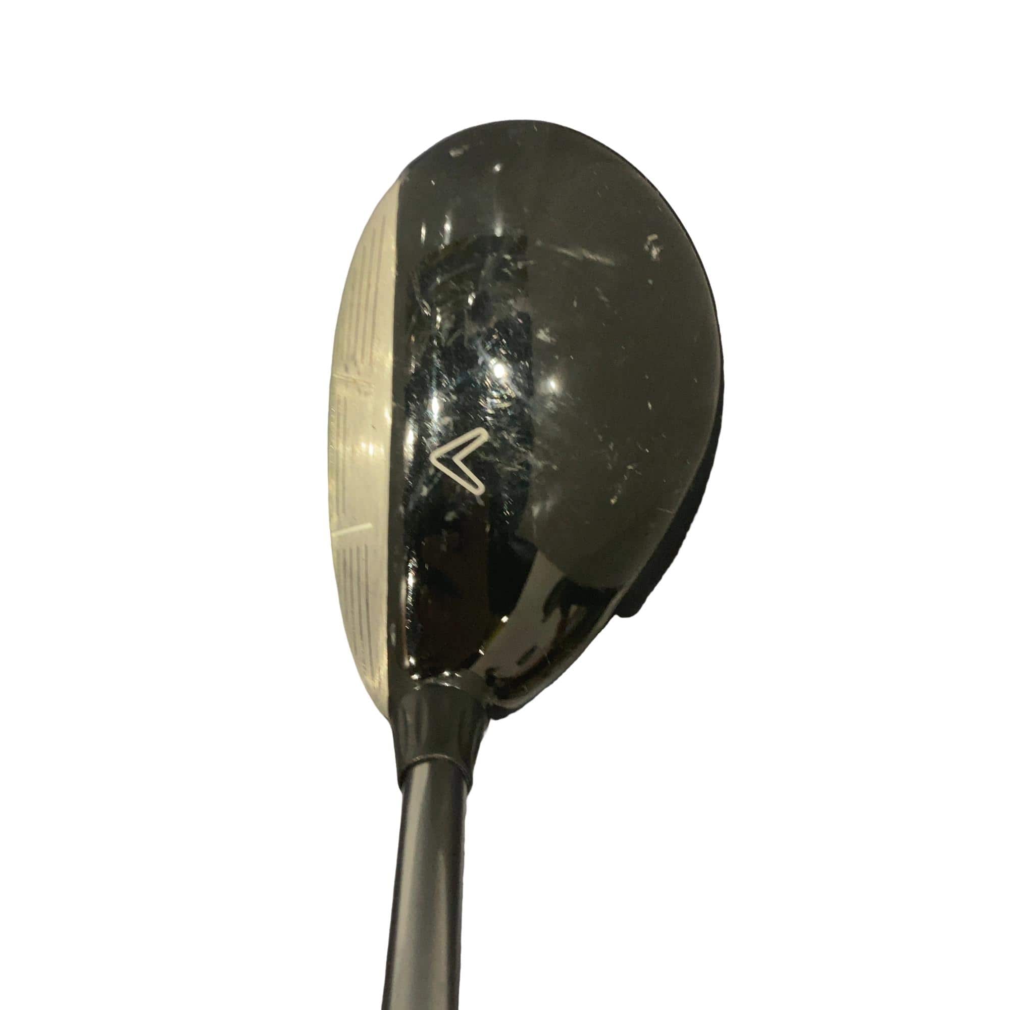 �w�@�c�q�r�@���[�e�B���e�B�@�S�g�i�Q�S°�j