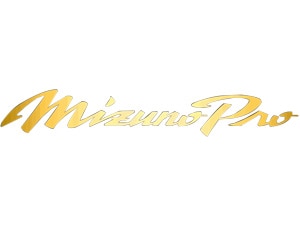 Mizuno Pro 225