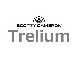 �X�R�b�e�B�@�L���������@�g�����E���@�e��