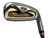 PRESTIGIO Gold Premium
