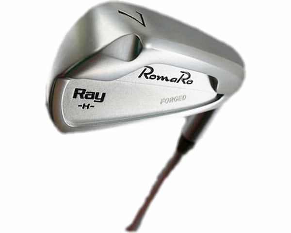 Ray H 2016