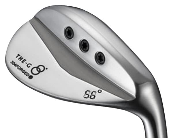 304FORGED WEDGE