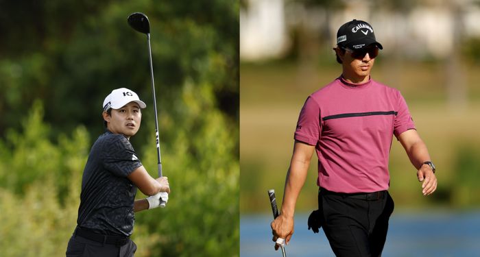 �j���[�X�摜