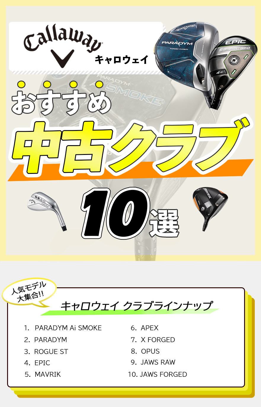 LEFC ߃Nu10I