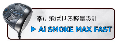 PARADYM Ai SMOKE MAX FAST