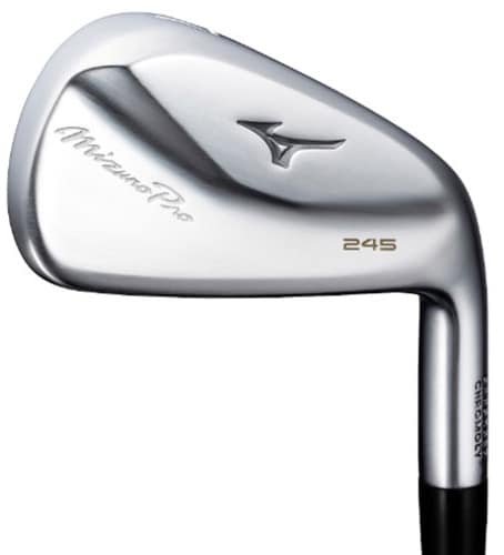 ~Ym Mizuno Pro 245