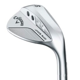 �E�F�b�W �L�����E�F�C JAWS RAW �N�������b�L